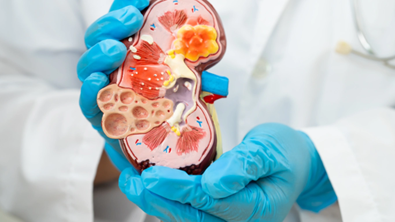 Ürolojik Hastalıklarda Erken Tanının Önemi